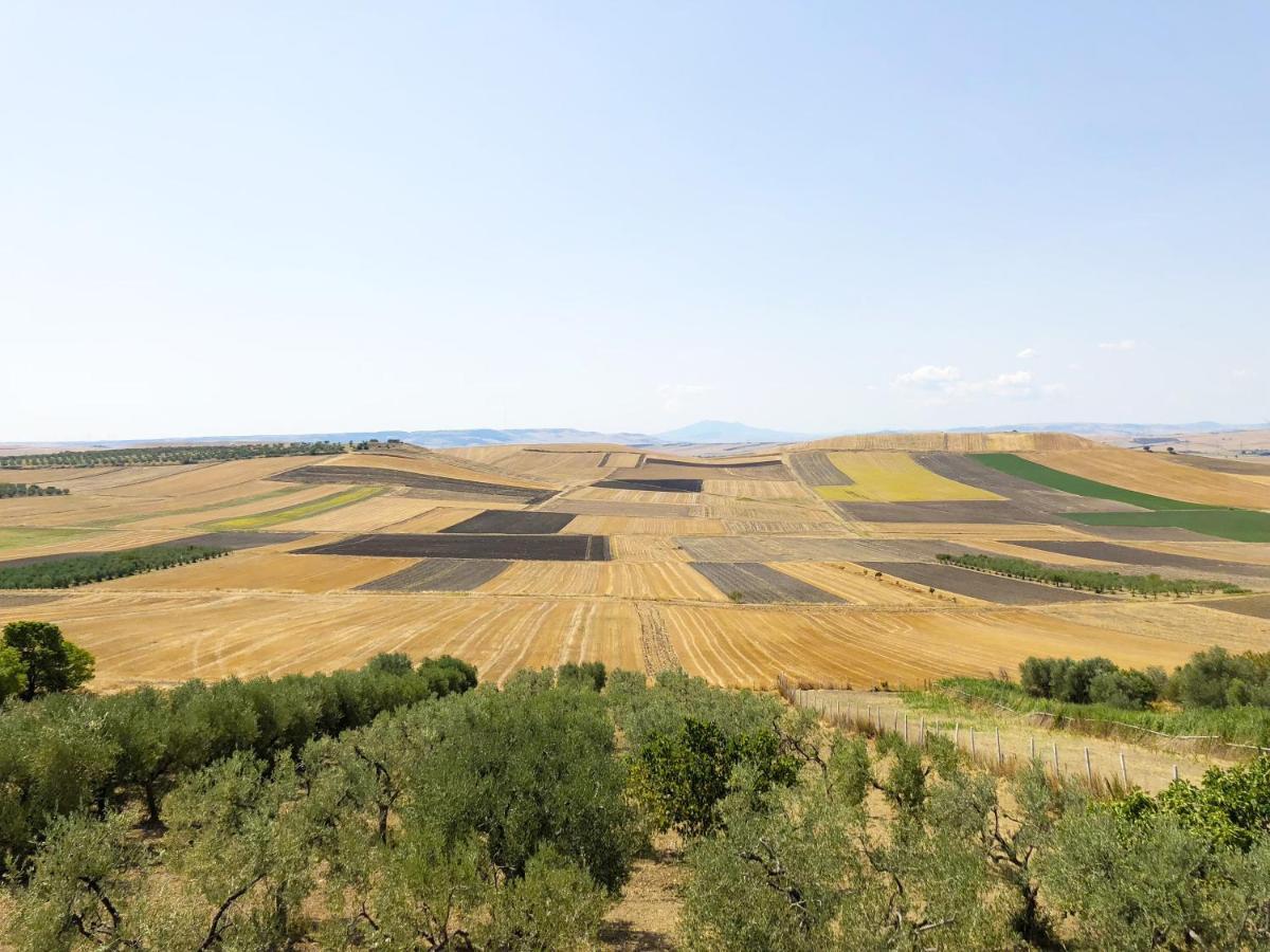 Cà dei Sauri - taste of Puglia Apartamento Castelluccio dei Sauri Exterior foto